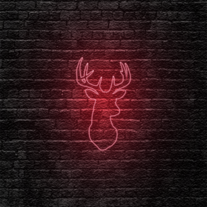 “Buck” Neon Sign