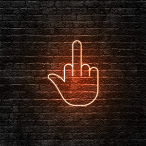 “Middle Finger” Neon Sign